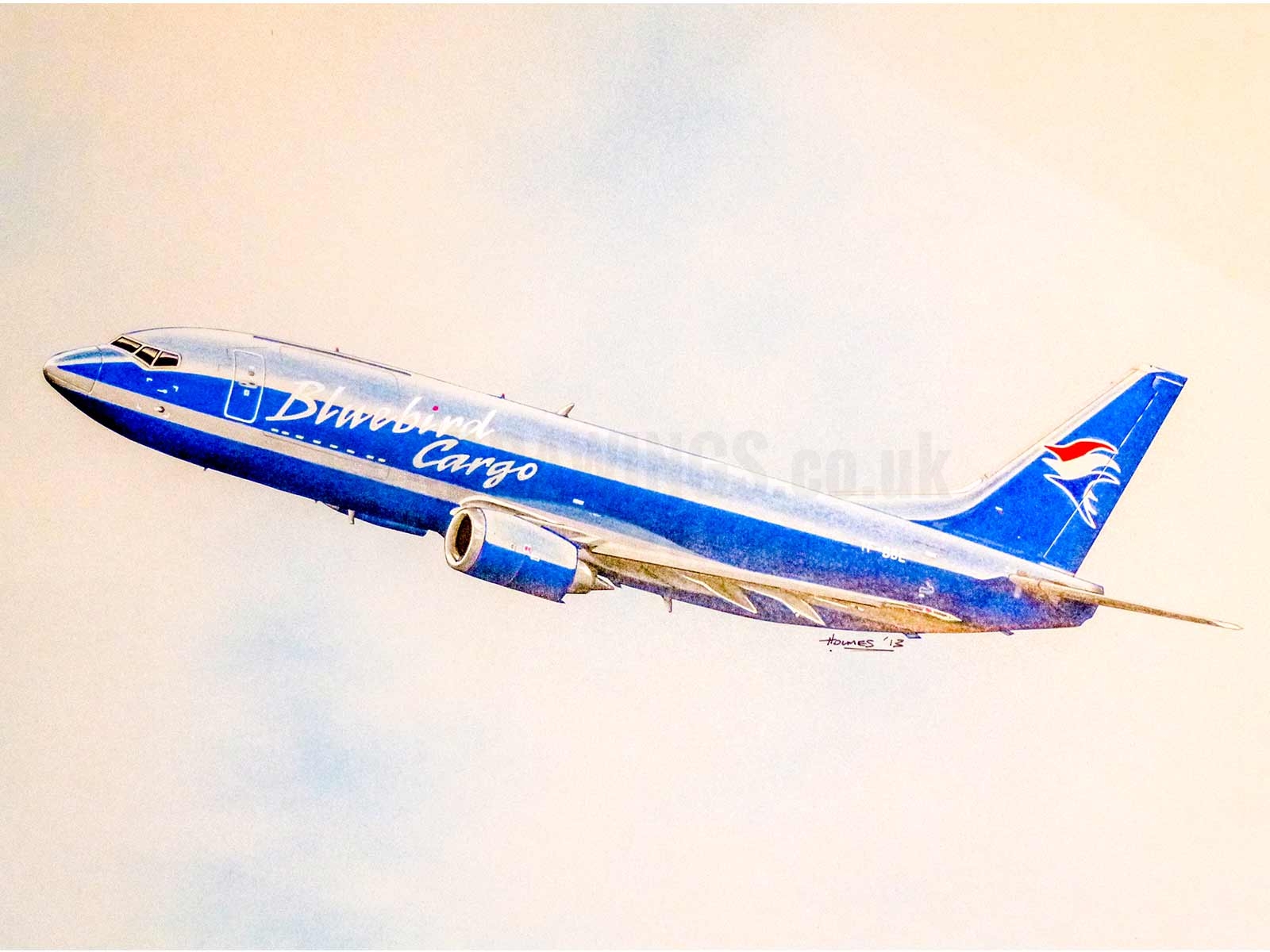 Bluebird Cargo Plane